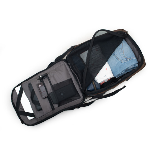 Raven-brown-03.jpg Raven-brown-03.jpg